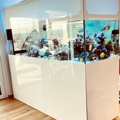Aquarium I