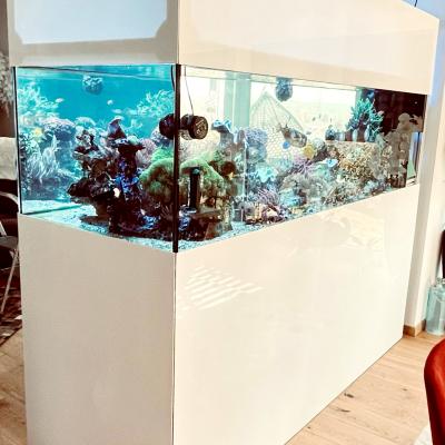 Aquarium Ii